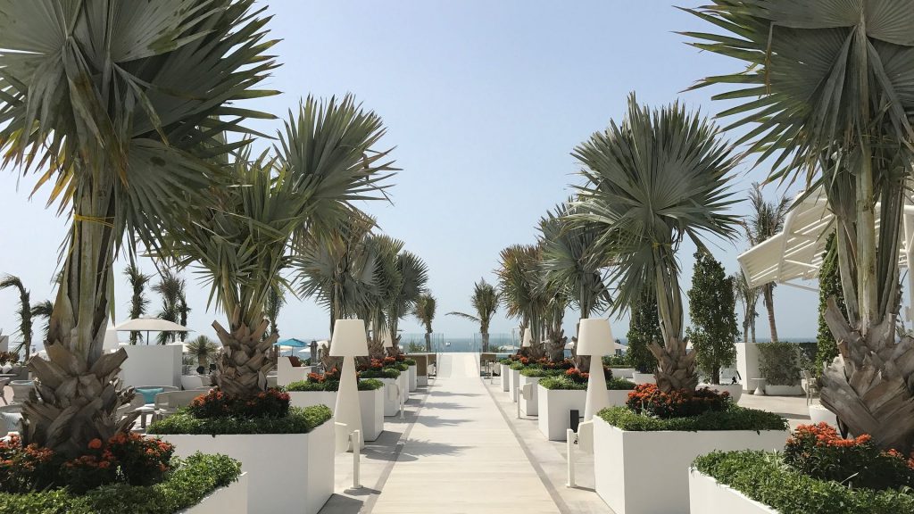 Top Jumeriah Beach Hotels 5